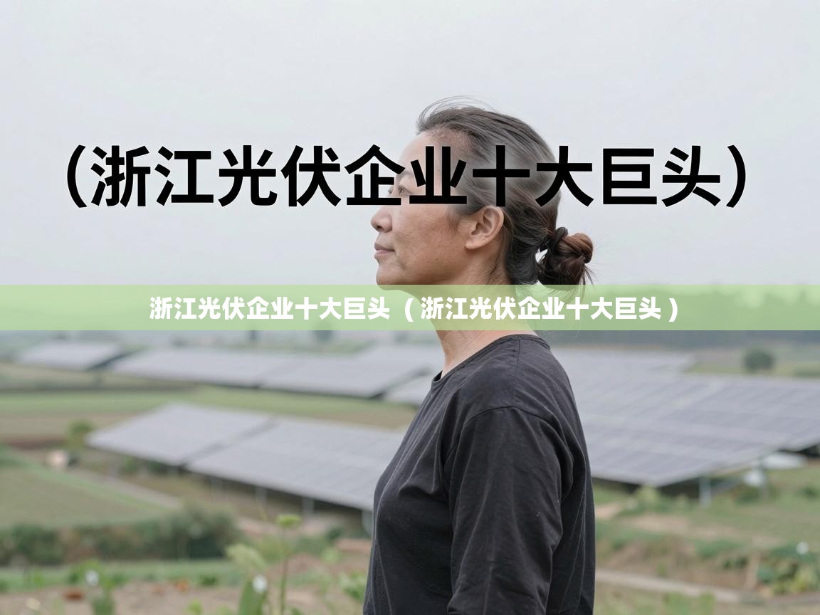  浙江光伏企业十大巨头  ( 浙江光伏企业十大巨头 )