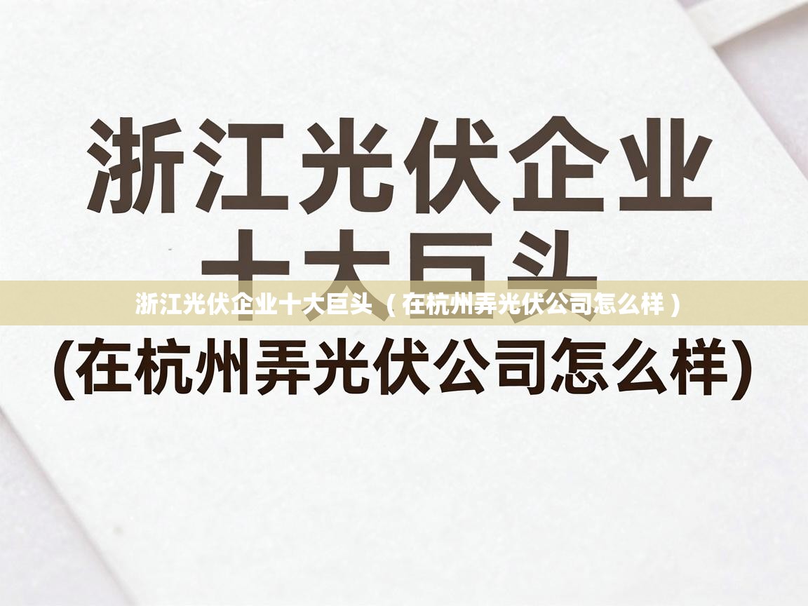  浙江光伏企业十大巨头  ( 在杭州弄光伏公司怎么样 )