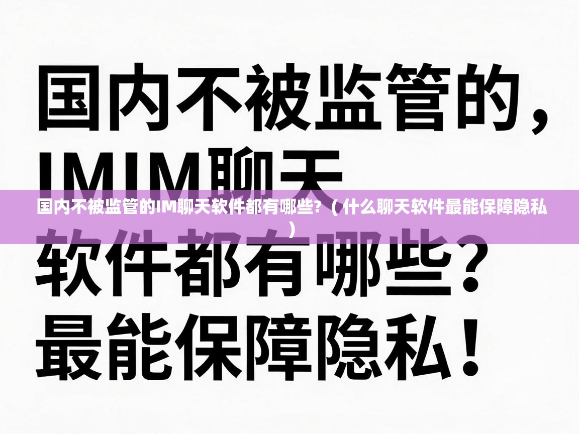  国内不被监管的IM聊天软件都有哪些?  ( 什么聊天软件最能保障隐私 )