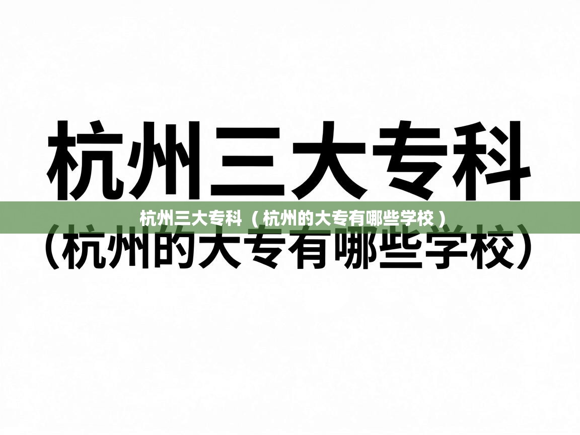  杭州三大专科  ( 杭州的大专有哪些学校 )