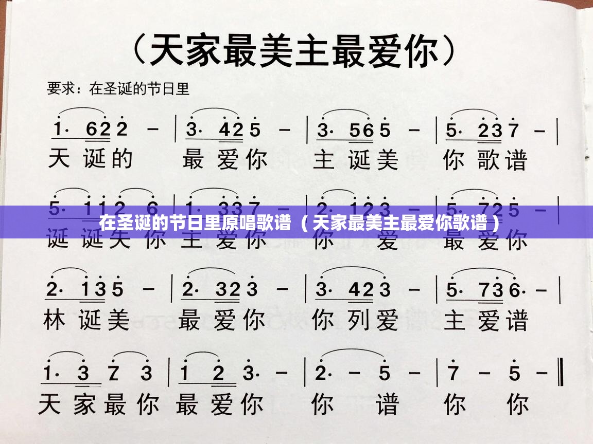  在圣诞的节日里原唱歌谱  ( 天家最美主最爱你歌谱 )