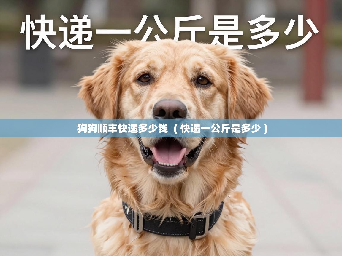  狗狗顺丰快递多少钱  ( 快递一公斤是多少 )