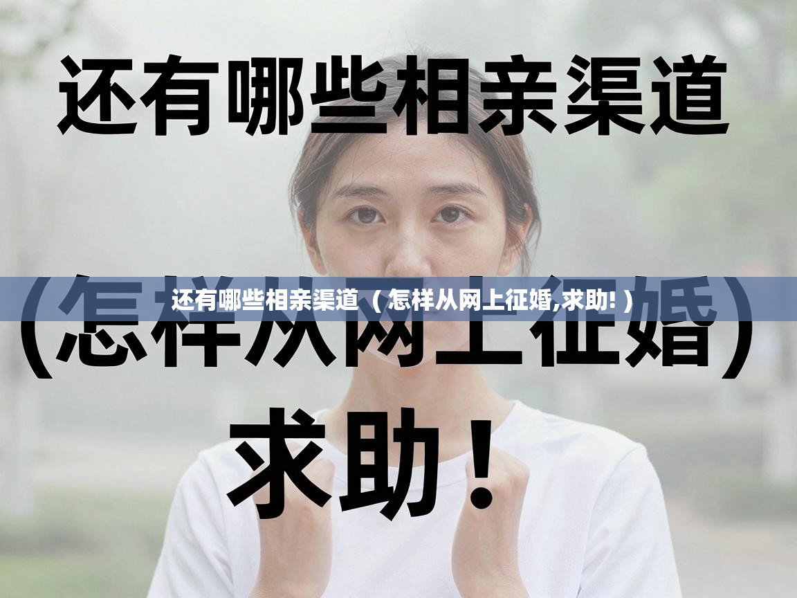  还有哪些相亲渠道  ( 怎样从网上征婚,求助! )
