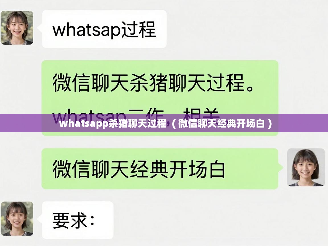  whatsapp杀猪聊天过程  ( 微信聊天经典开场白 )