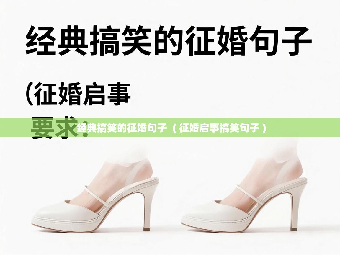  经典搞笑的征婚句子  ( 征婚启事搞笑句子 )