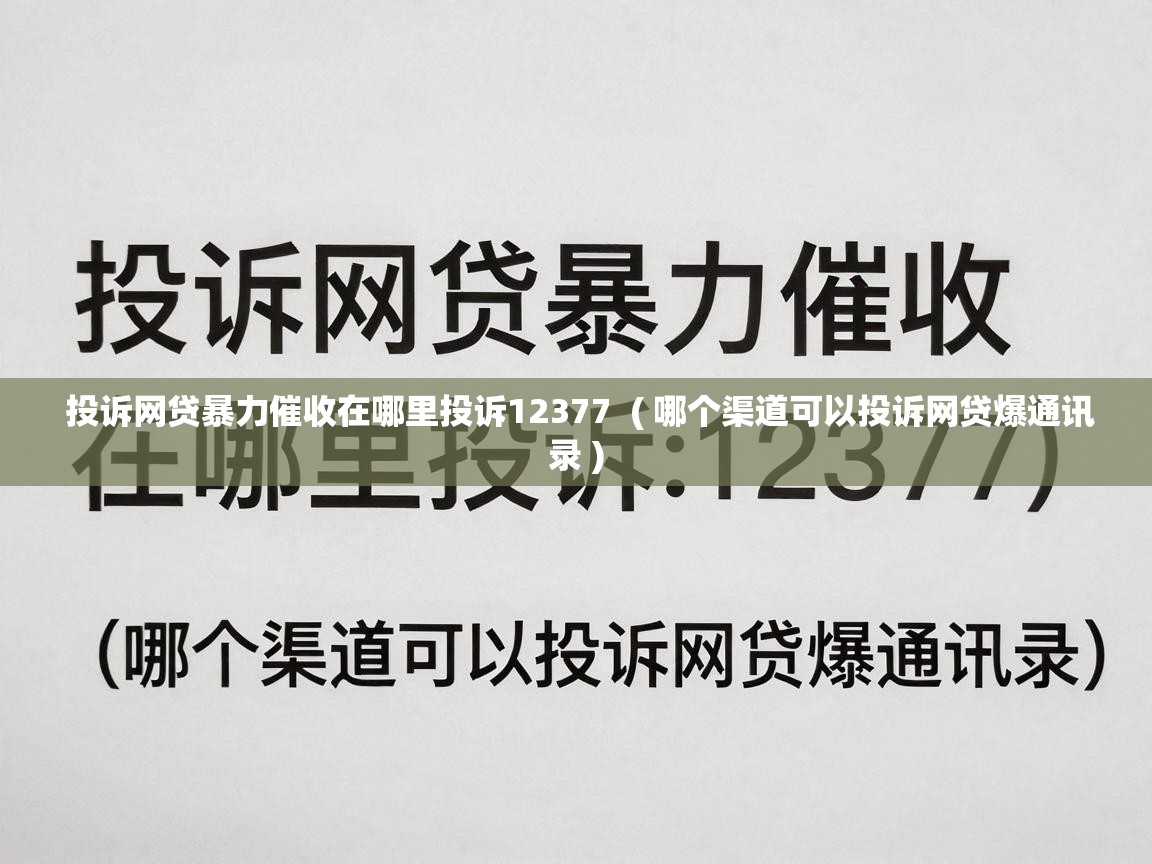  投诉网贷暴力催收在哪里投诉12377  ( 哪个渠道可以投诉网贷爆通讯录 )