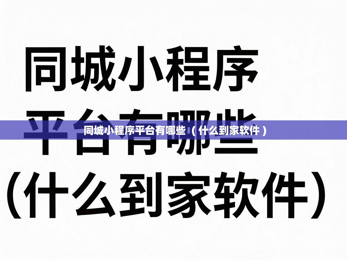  同城小程序平台有哪些  ( 什么到家软件 )