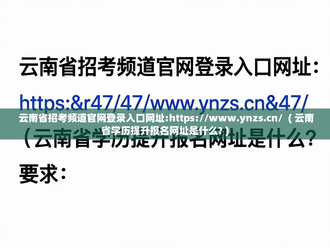  云南省招考频道官网登录入口网址:https://www.ynzs.cn/  ( 云南省学历提升报名网址是什么? )
