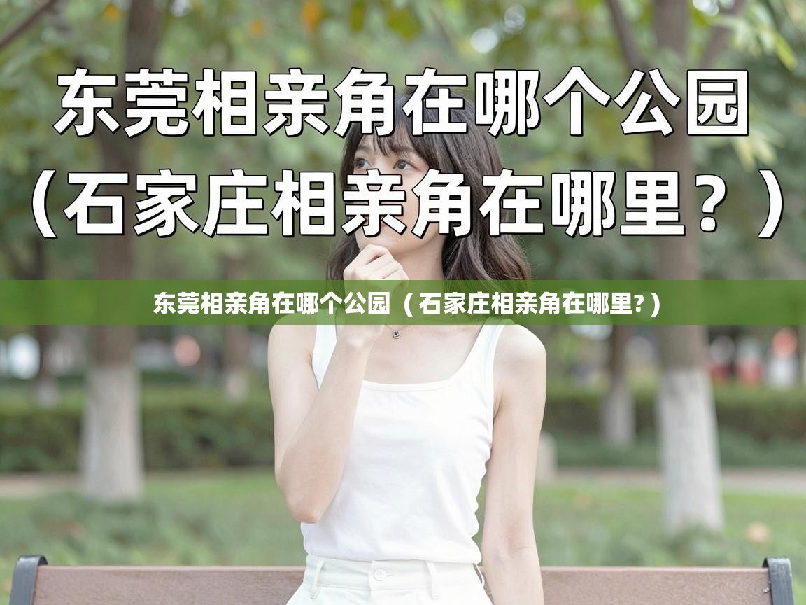  东莞相亲角在哪个公园  ( 石家庄相亲角在哪里? )