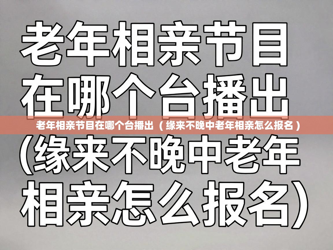 老年相亲节目在哪个台播出 ( 缘来不晚中老年相亲怎么报名 ) 老年相亲节目在哪个台播出 ( 缘来不晚中老年相亲怎么报名 )