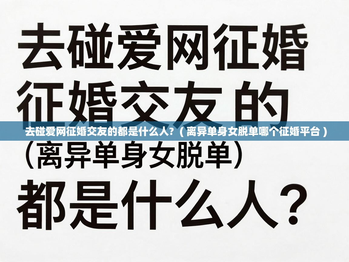  去碰爱网征婚交友的都是什么人?  ( 离异单身女脱单哪个征婚平台 )