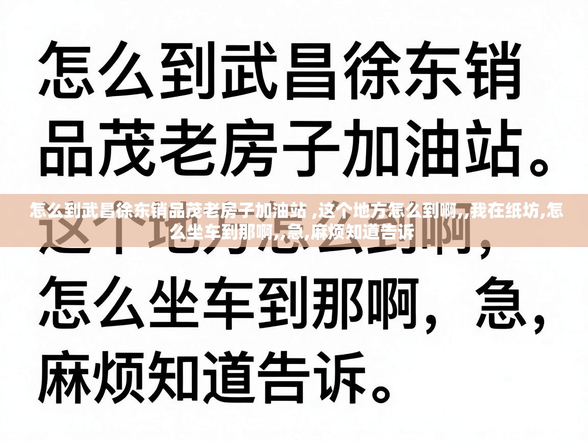  怎么到武昌徐东销品茂老房子加油站 ,这个地方怎么到啊,,我在纸坊,怎么坐车到那啊,,急,麻烦知道告诉 