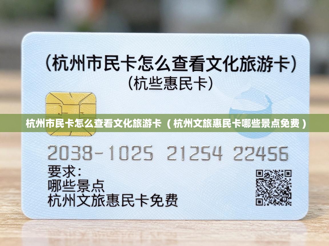  杭州市民卡怎么查看文化旅游卡  ( 杭州文旅惠民卡哪些景点免费 )