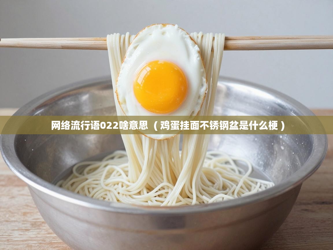  网络流行语022啥意思  ( 鸡蛋挂面不锈钢盆是什么梗 )