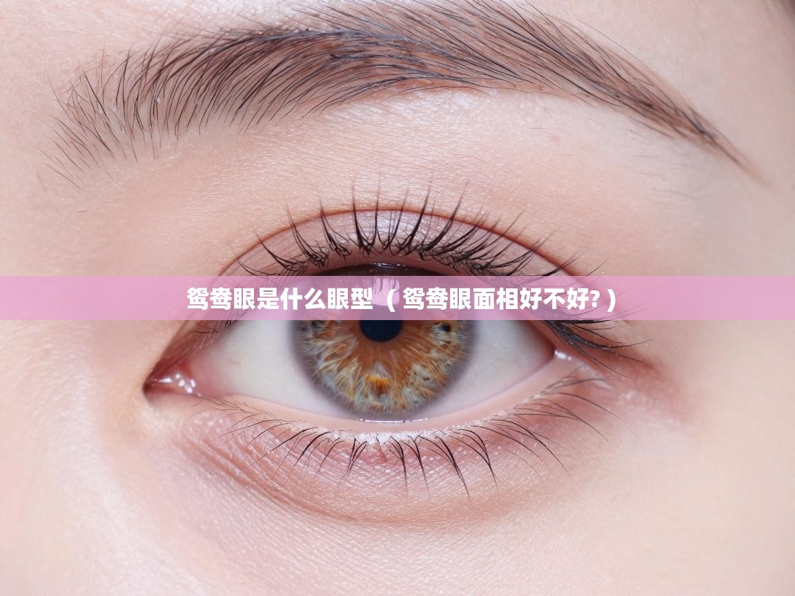  鸳鸯眼是什么眼型  ( 鸳鸯眼面相好不好? )