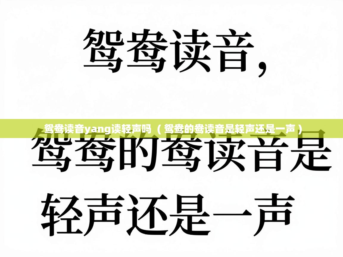  鸳鸯读音yang读轻声吗  ( 鸳鸯的鸯读音是轻声还是一声 )