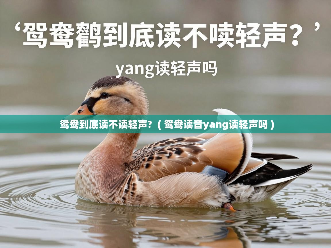  鸳鸯到底读不读轻声?  ( 鸳鸯读音yang读轻声吗 )