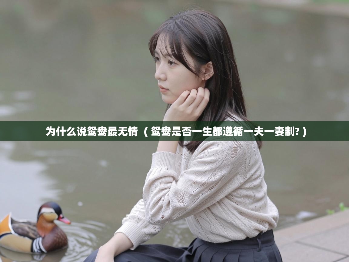  为什么说鸳鸯最无情  ( 鸳鸯是否一生都遵循一夫一妻制? )