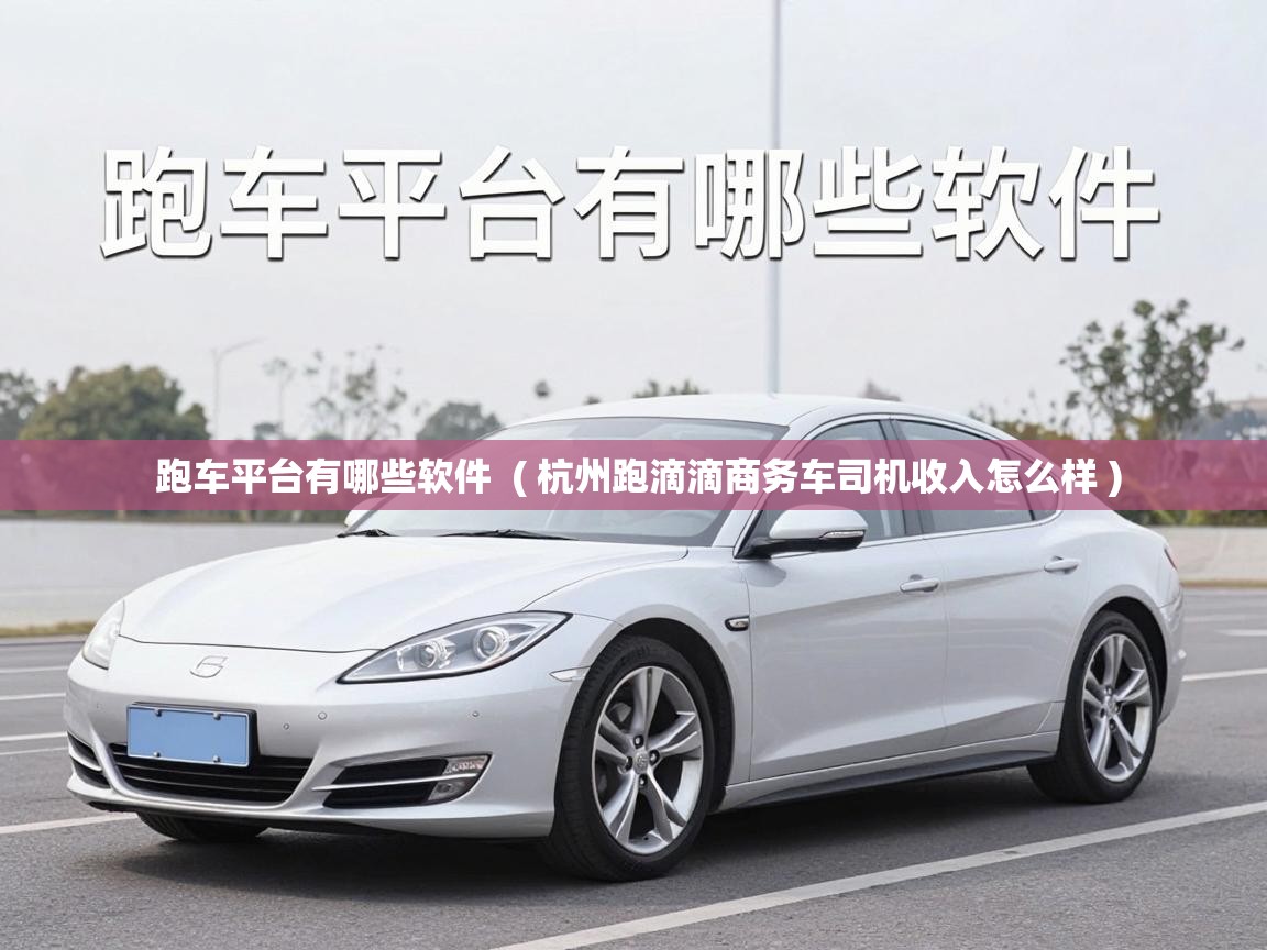  跑车平台有哪些软件  ( 杭州跑滴滴商务车司机收入怎么样 )