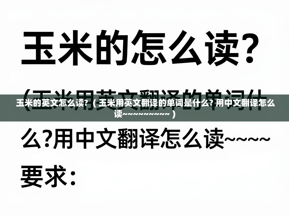  玉米的英文怎么读?  ( 玉米用英文翻译的单词是什么? 用中文翻译怎么读~~~~~~~~~ )