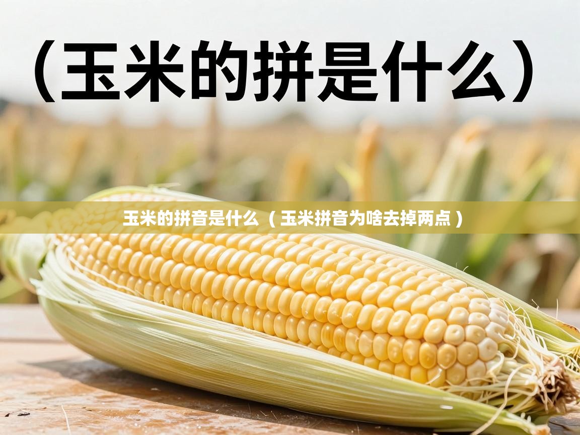  玉米的拼音是什么  ( 玉米拼音为啥去掉两点 )