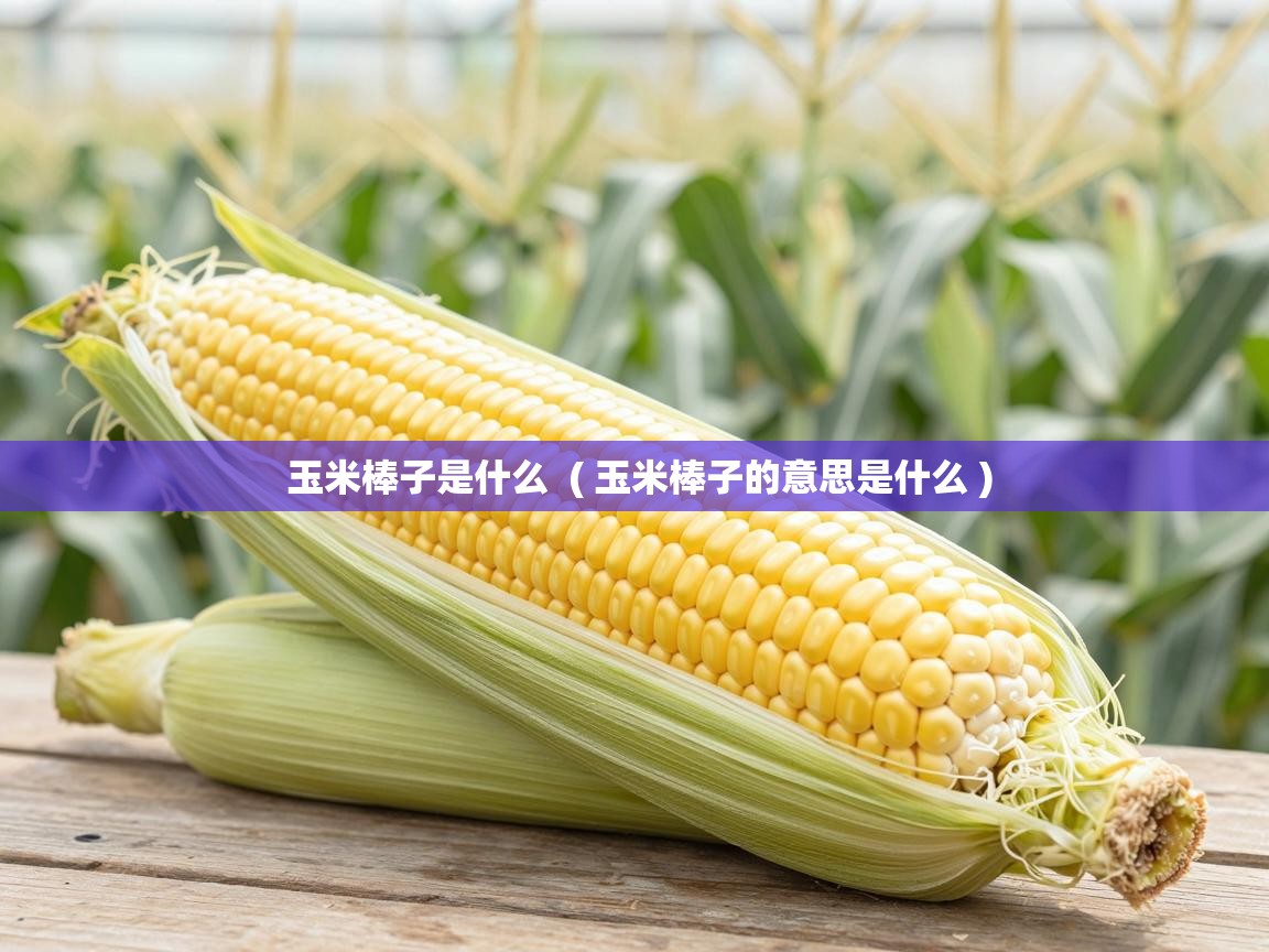  玉米棒子是什么  ( 玉米棒子的意思是什么 )