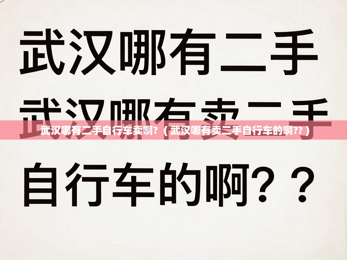  武汉哪有二手自行车卖啊?  ( 武汉哪有卖二手自行车的啊?? )