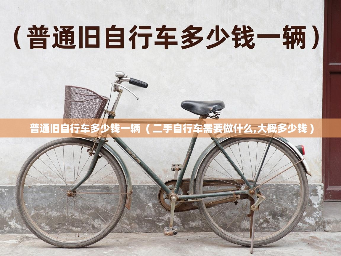 普通旧自行车多少钱一辆  ( 二手自行车需要做什么,大概多少钱 )