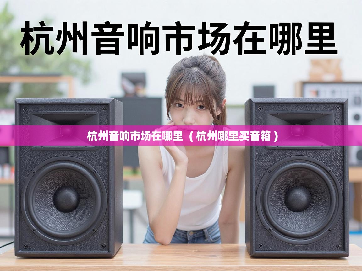  杭州音响市场在哪里  ( 杭州哪里买音箱 )
