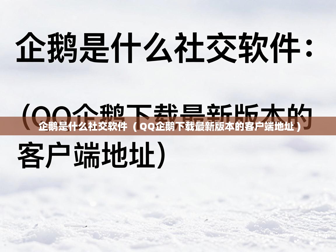  企鹅是什么社交软件  ( QQ企鹅下载最新版本的客户端地址 )