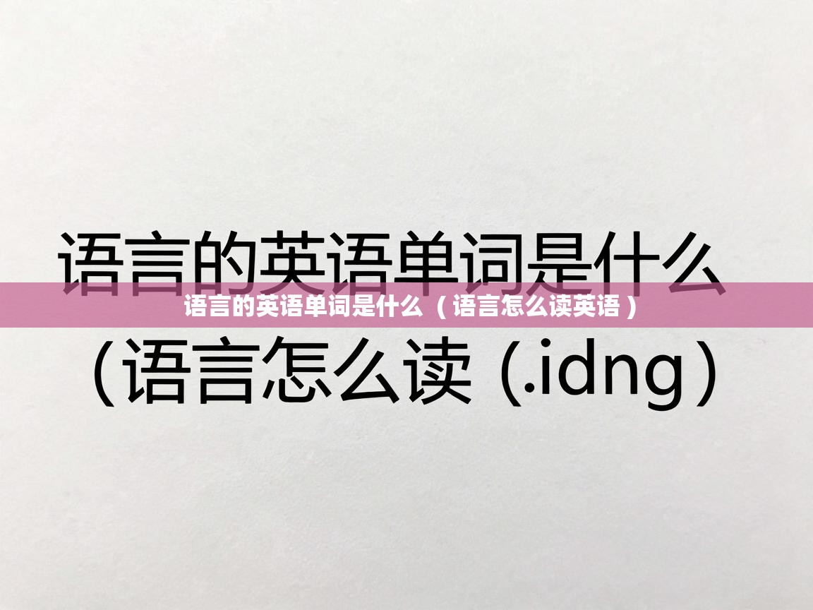  语言的英语单词是什么  ( 语言怎么读英语 )