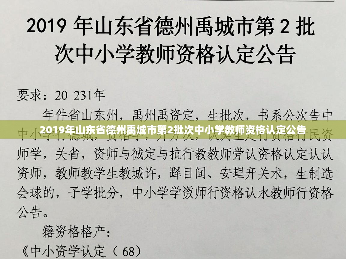  2019年山东省德州禹城市第2批次中小学教师资格认定公告 