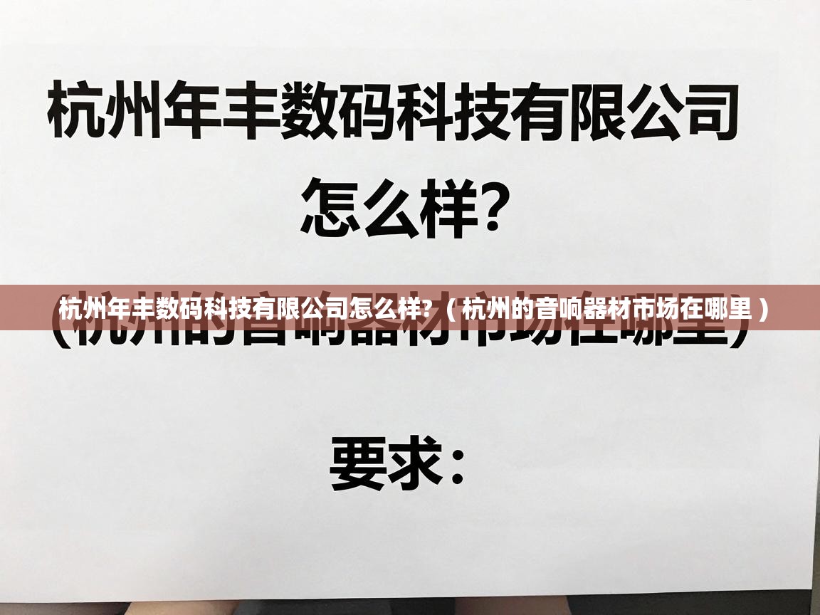  杭州年丰数码科技有限公司怎么样?  ( 杭州的音响器材市场在哪里 )