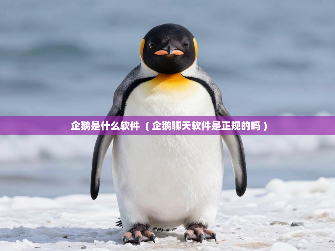  企鹅是什么软件  ( 企鹅聊天软件是正规的吗 )