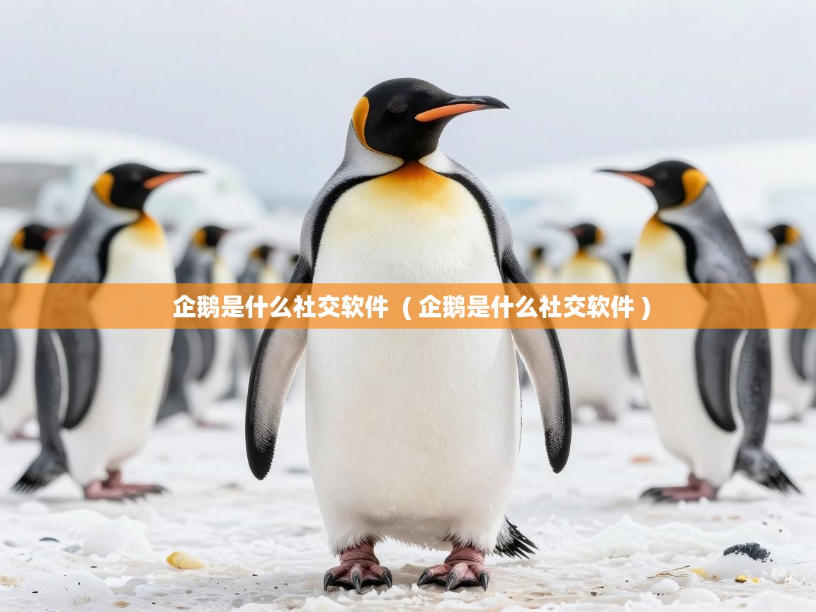  企鹅是什么社交软件  ( 企鹅是什么社交软件 )