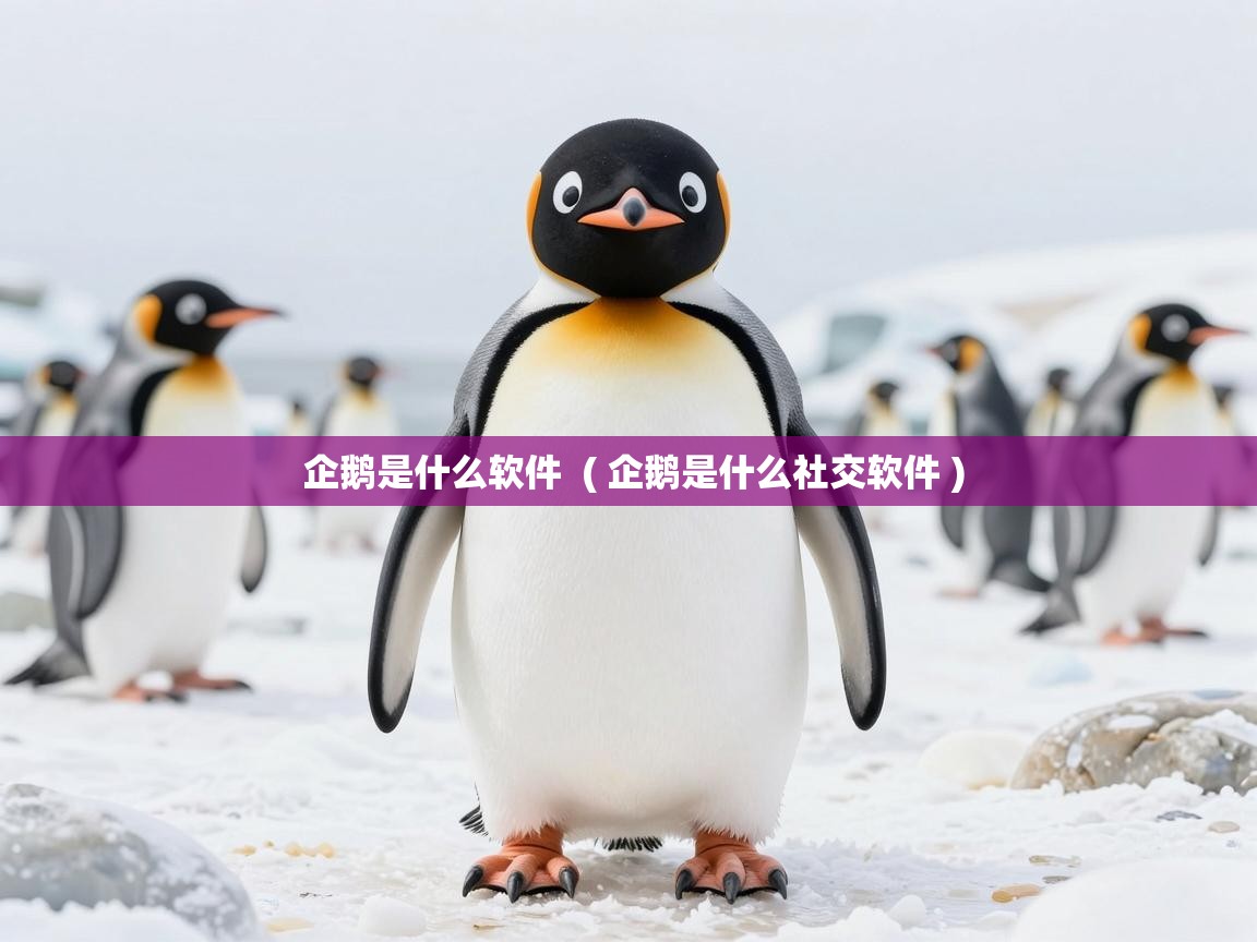  企鹅是什么软件  ( 企鹅是什么社交软件 )