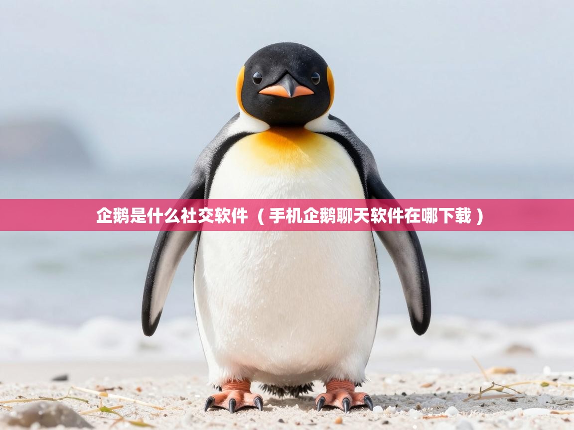  企鹅是什么社交软件  ( 手机企鹅聊天软件在哪下载 )