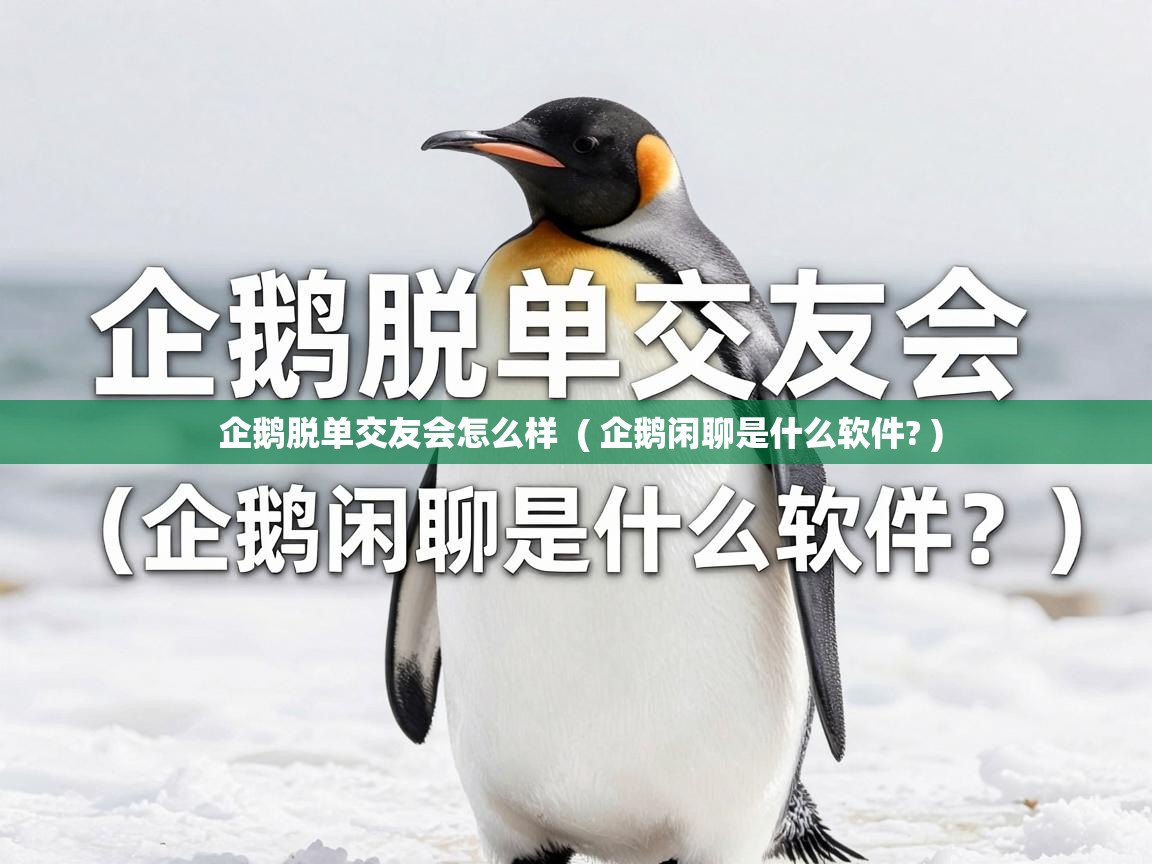  企鹅脱单交友会怎么样  ( 企鹅闲聊是什么软件? )