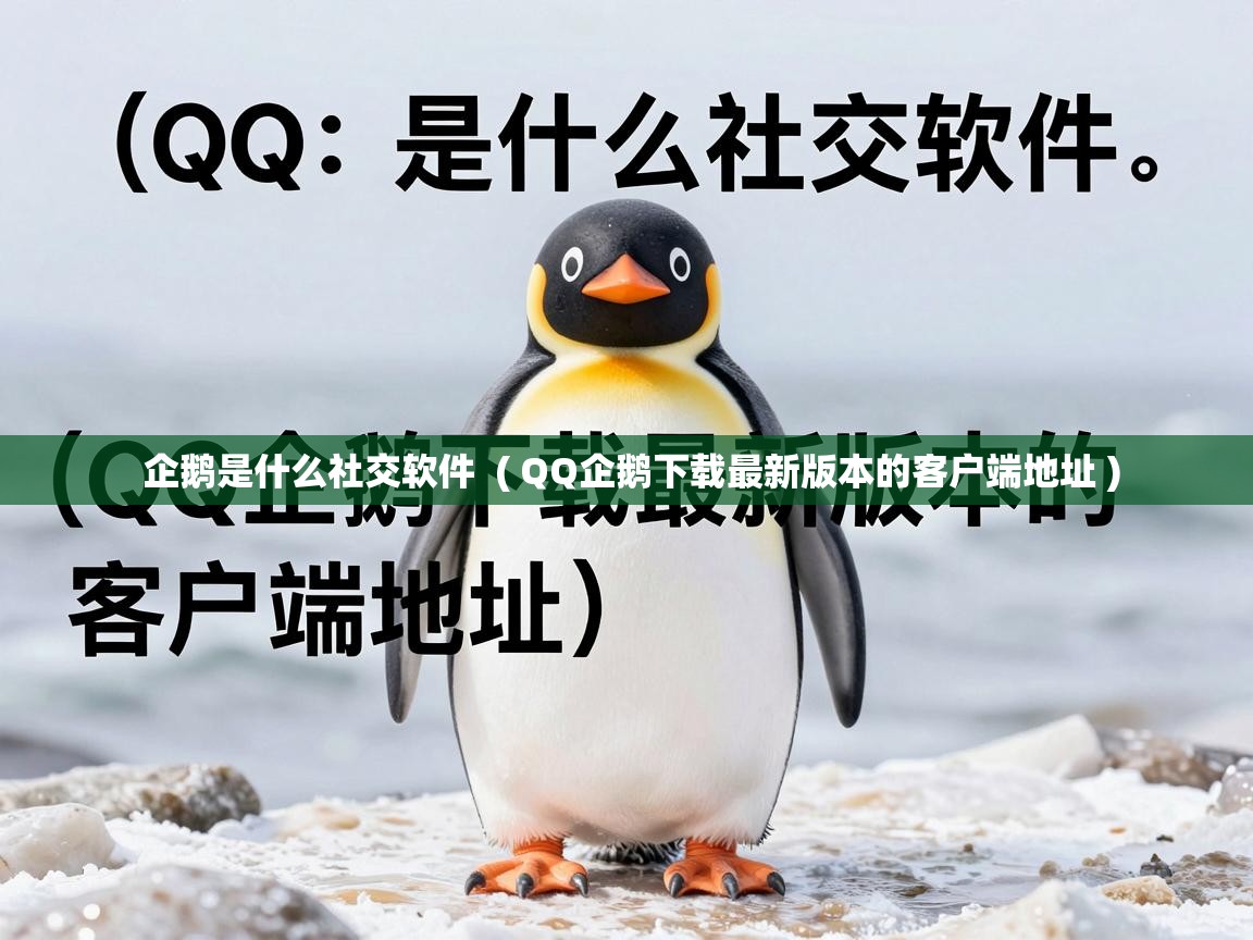  企鹅是什么社交软件  ( QQ企鹅下载最新版本的客户端地址 )