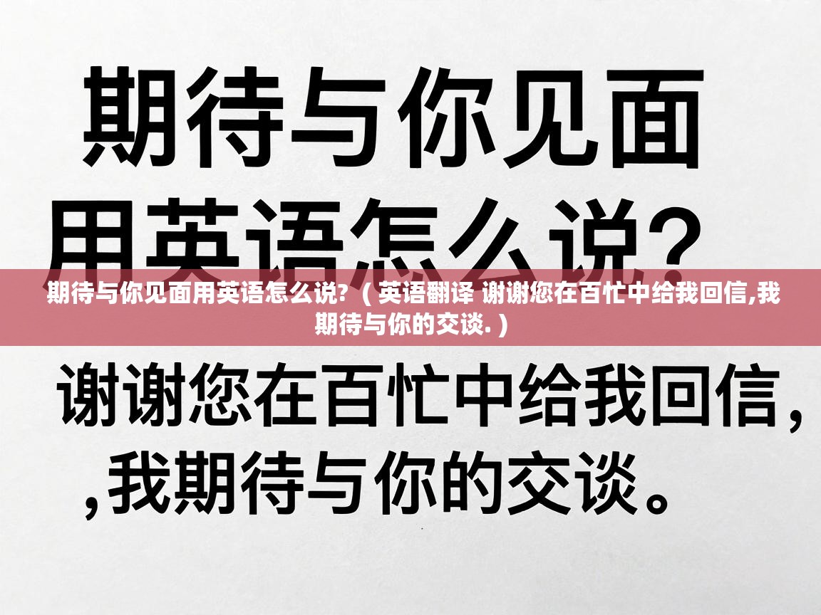  期待与你见面用英语怎么说?  ( 英语翻译 谢谢您在百忙中给我回信,我期待与你的交谈. )