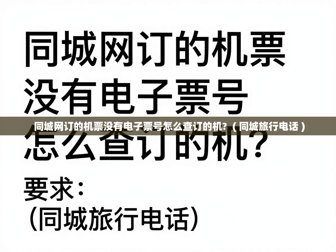  同城网订的机票没有电子票号怎么查订的机?  ( 同城旅行电话 )