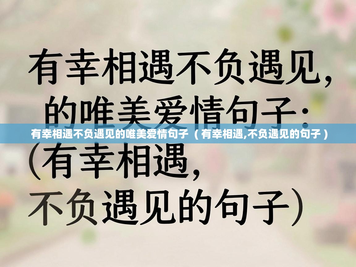  有幸相遇不负遇见的唯美爱情句子  ( 有幸相遇,不负遇见的句子 )