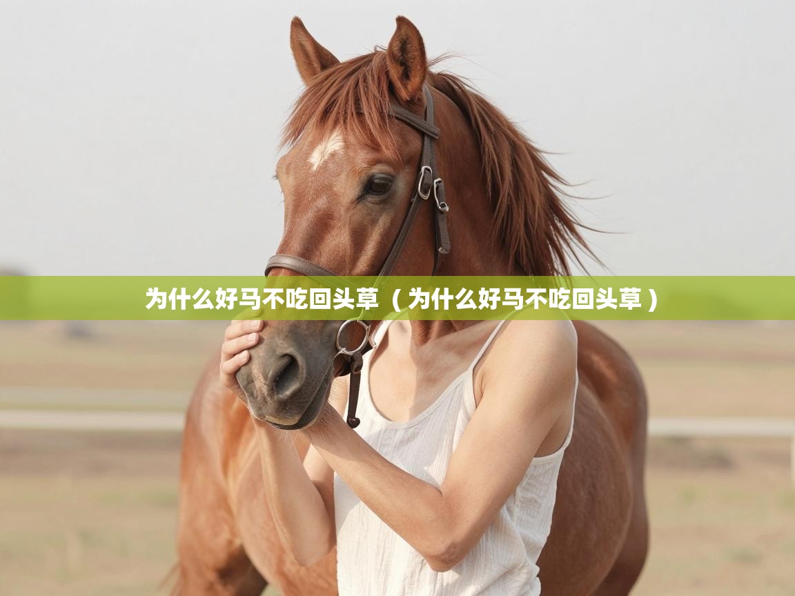  为什么好马不吃回头草  ( 为什么好马不吃回头草 )
