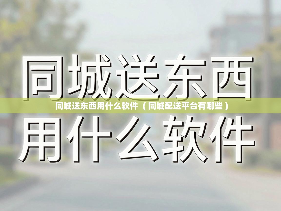  同城送东西用什么软件  ( 同城配送平台有哪些 )