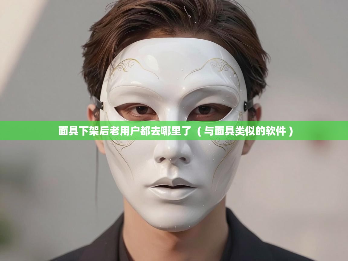  面具下架后老用户都去哪里了  ( 与面具类似的软件 )