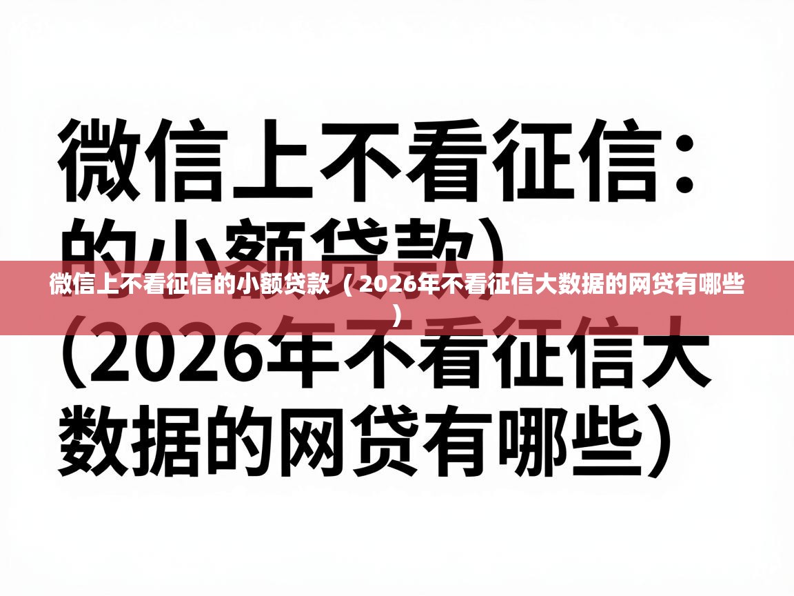  微信上不看征信的小额贷款  ( 2026年不看征信大数据的网贷有哪些 )
