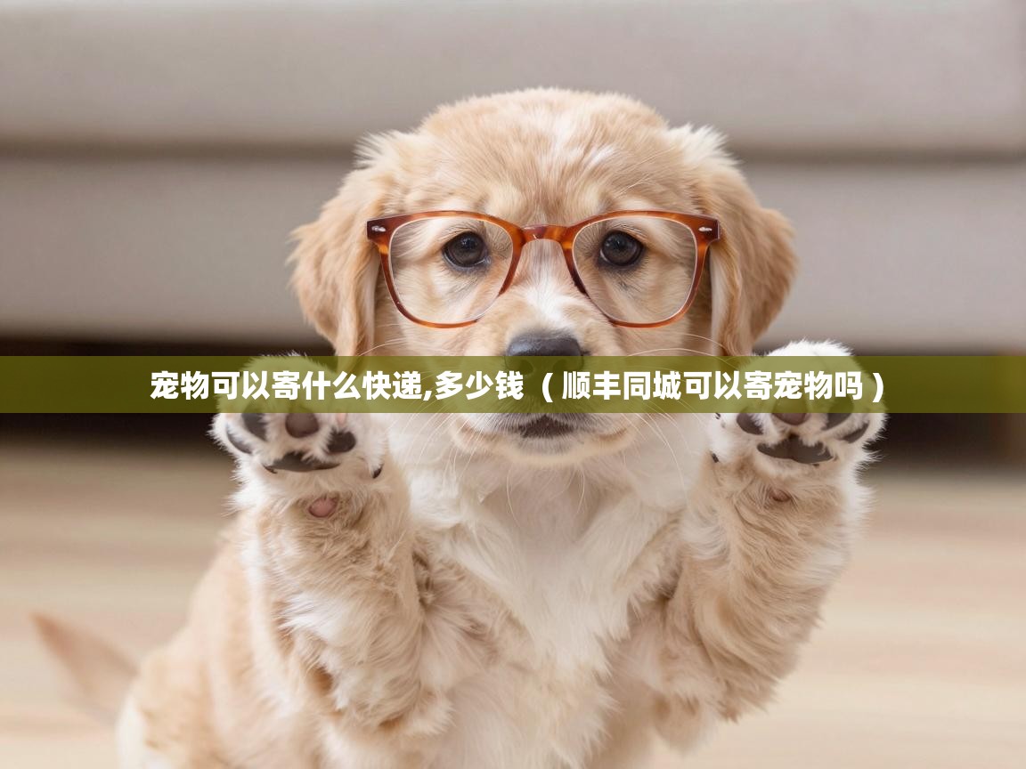  宠物可以寄什么快递,多少钱  ( 顺丰同城可以寄宠物吗 )