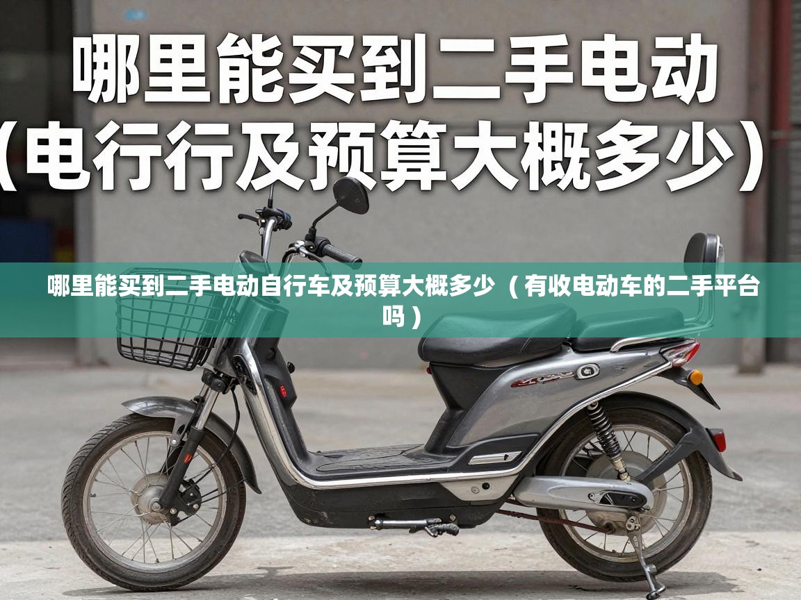  哪里能买到二手电动自行车及预算大概多少  ( 有收电动车的二手平台吗 )