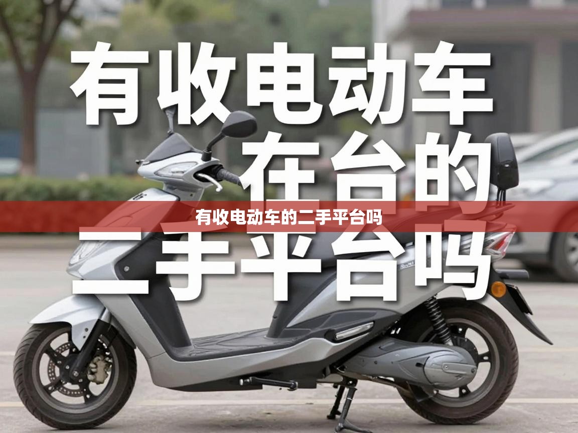  有收电动车的二手平台吗 