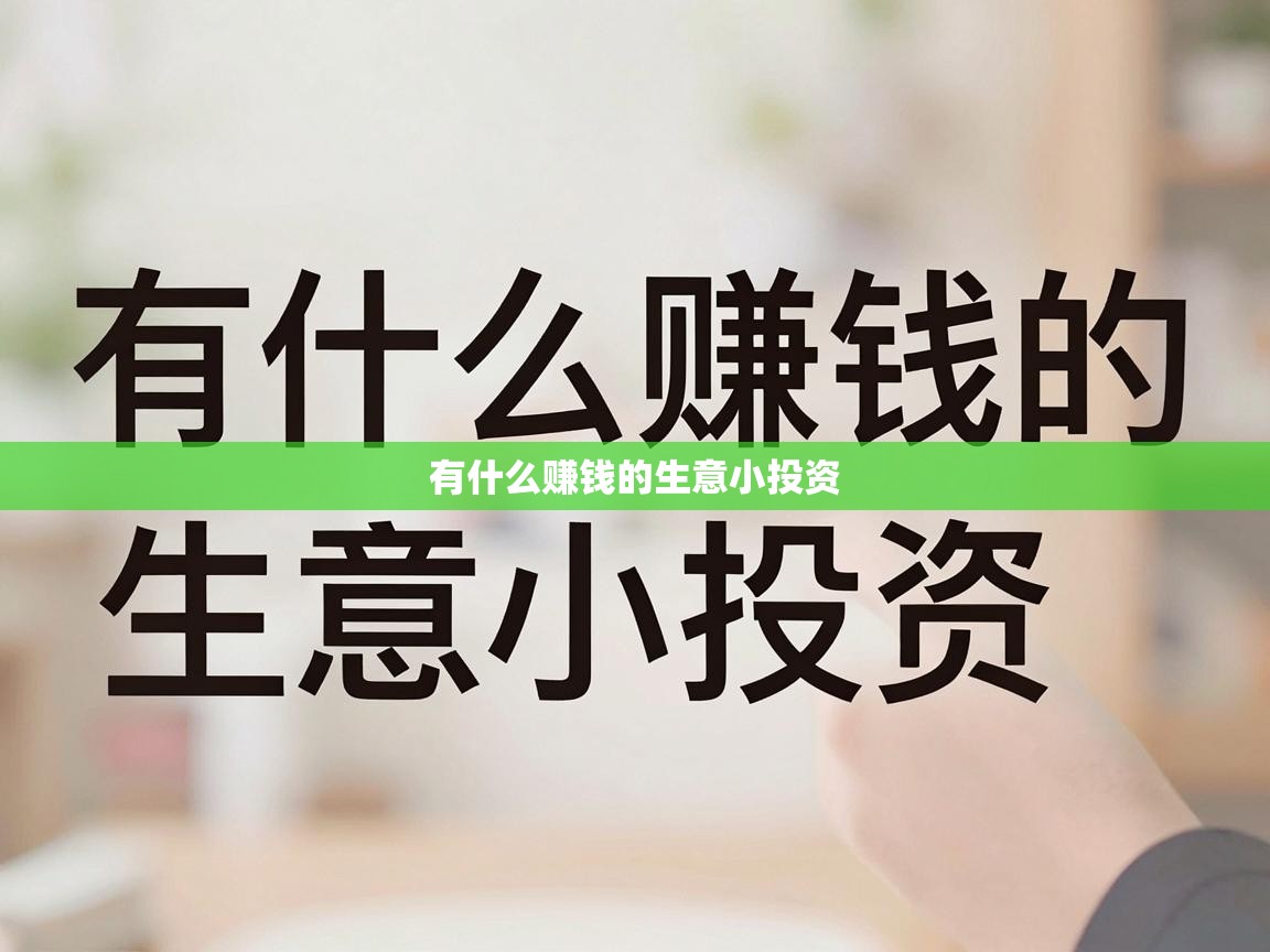  有什么赚钱的生意小投资 